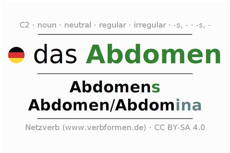 abdominal deutsch|abdominal translation in German .